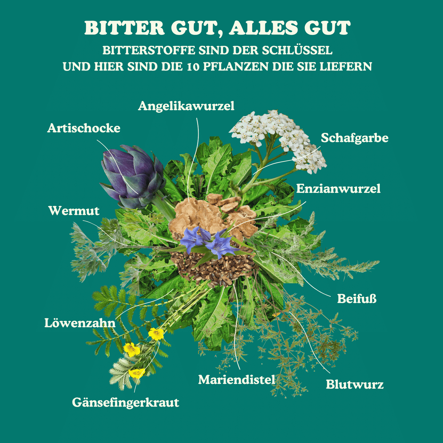BitterBite Tropfen - Alkoholfrei